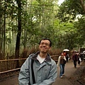 PA273160-a.jpg