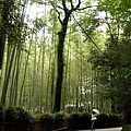 PA273161-a.jpg