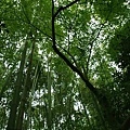 PA273163-a.jpg