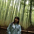 PA273166-a.jpg