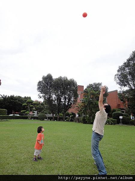 20111010-f.jpg