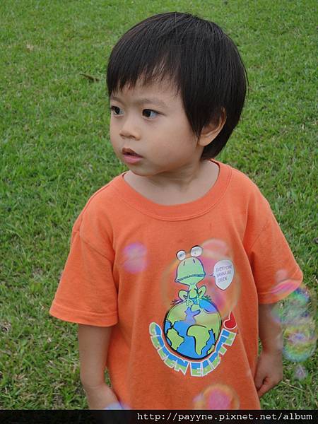 20111010-h.jpg
