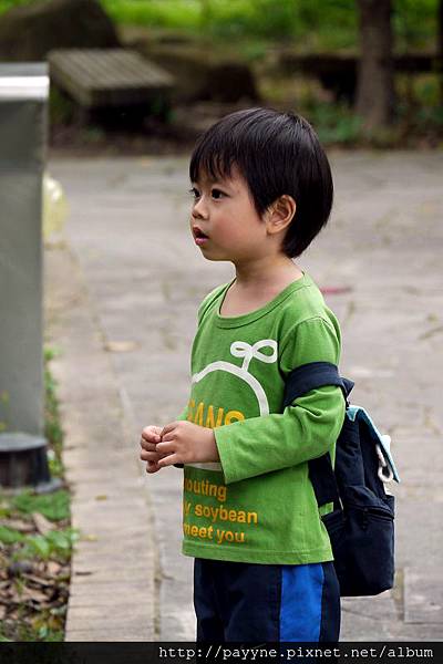 2012.03.18--關渡水鳥公園踏青中...