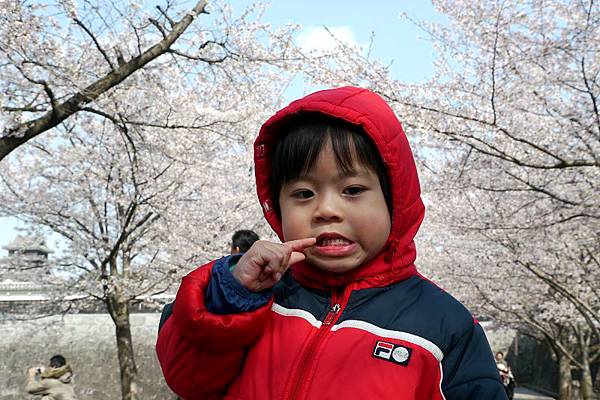 2012.04.03-半年內二度來到熊本城...（上次是去年秋天跟著阿公阿嬤來的..）