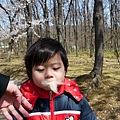 2012.04.07-有市集所以有些小攤販，這是我第一次在日本吃到的棉花糖喲~~