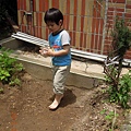 2012.04.24-最後把種的小綠豆移到菜圃的大片泥土裡