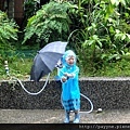 2012.05.17-媽咪於是帶我到花園，幫我換上雨鞋，再遞給我一支雨傘，讓我直接在花園裡玩得盡性~~