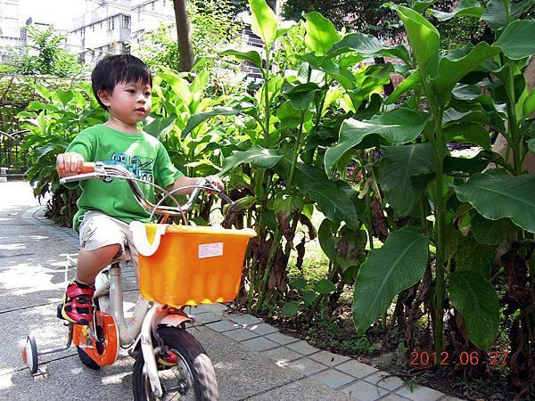 2012.06.27-早晨時間，若是天氣不錯學校就會讓我們到一旁公園騎腳踏車...這是每天驅使我起床到校的動力之一