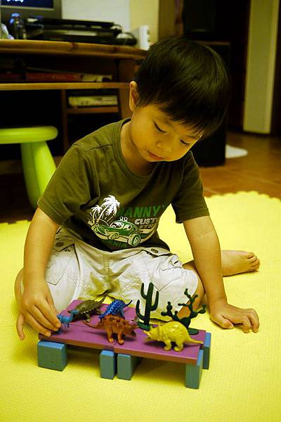 2012.07.31-爸比為了讓我了解恐龍進而喜歡恐龍，所以買了這些玩具小恐龍送我....