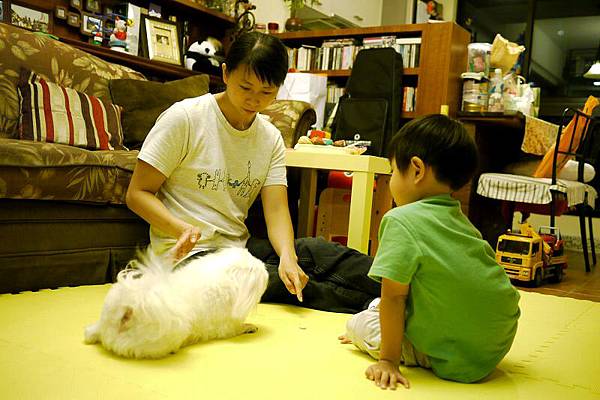 2012.09.24-請媽咪教導我如何訓練粽子比較願意聽我發號的指令....
