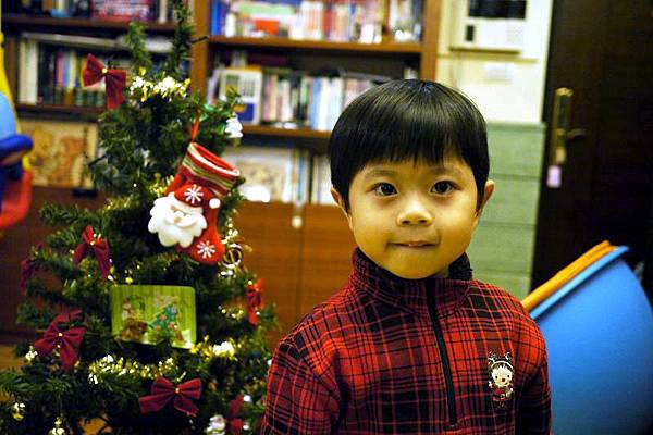 2012.12.06-聖誕節要到了...每年此時都會跟爸爸一起組裝聖誕樹