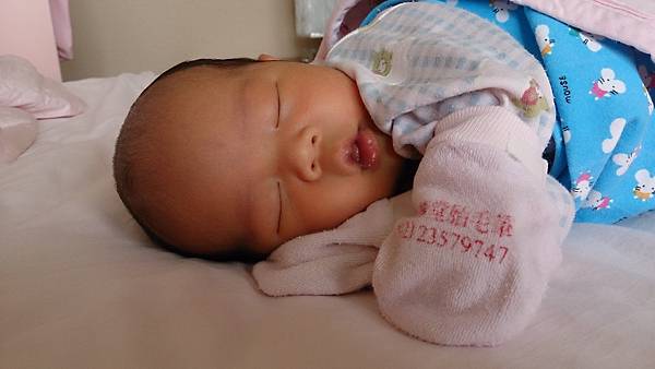 20130418-e.jpg