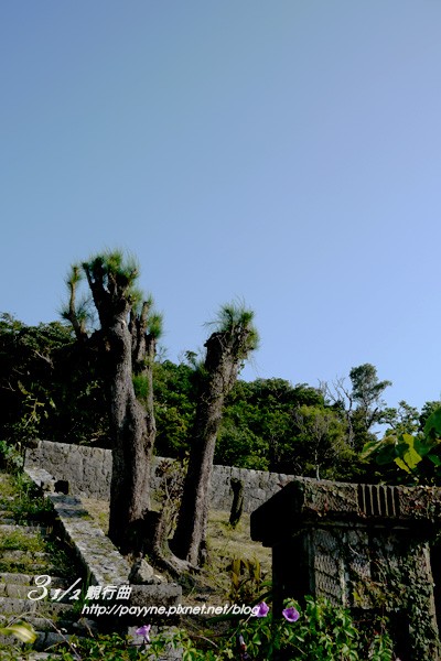 P1130169-a.jpg