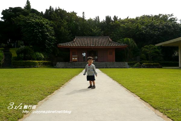 P1130796-a.jpg