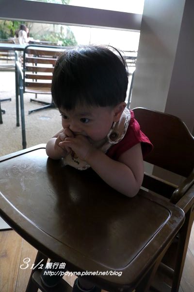 P1130960-a.jpg