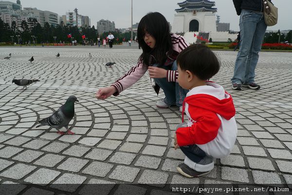 20100405-看這位姊姊餵鴿子，我也好想試試看喔。