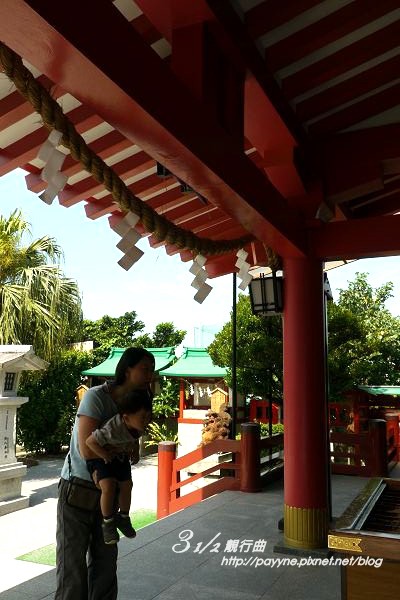 P1130863-a.jpg