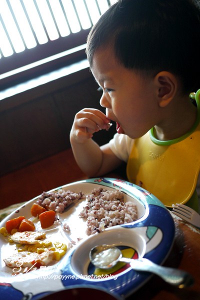 P1130059-a.jpg