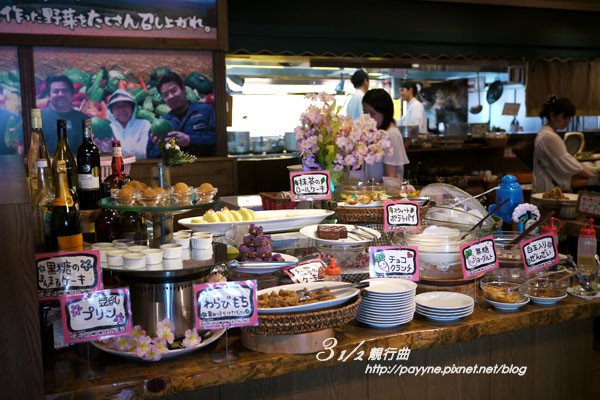 P1130096-a.jpg