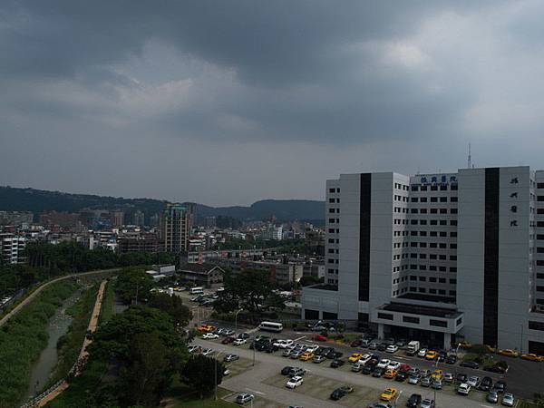 P8297844-a.jpg