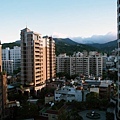 P9108292-a.jpg