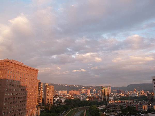 P9168439-a.jpg