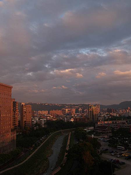 P9168441-a.jpg