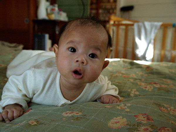 2008.12.17.jpg