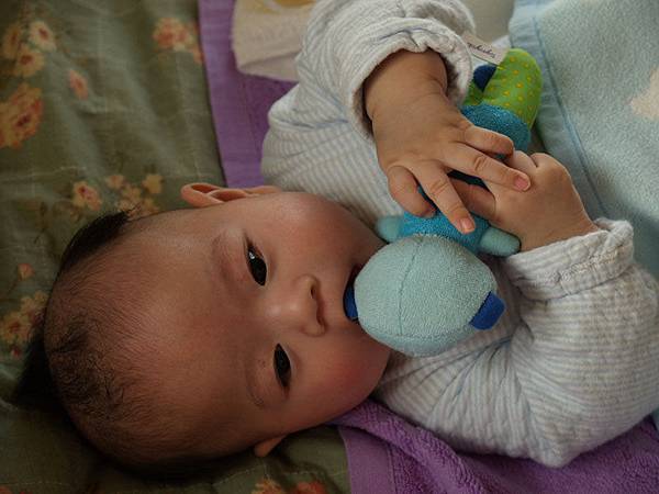 2008.12.20.jpg