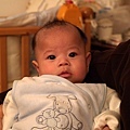 2008.11.28.jpg