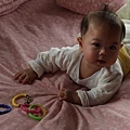 2009.02.05-為了前面的玩具，我努力的匍匐前進