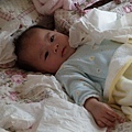 2009.02.11-把衛生紙全抽出來，粽子哥哥好像也做過，但牠都被修理了..我呢?