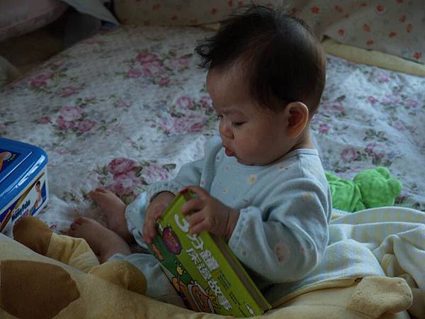 2009.04.30-故事書不是用來看的，是用來咬得...目前這書已傷痕纍纍~~