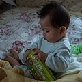 2009.04.30-故事書不是用來看的，是用來咬得...目前這書已傷痕纍纍~~