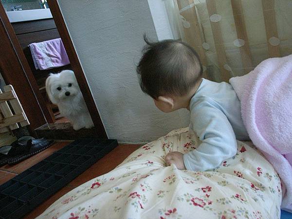 2009.05.06-只要有我在，粽子哥哥就禁止到房間
