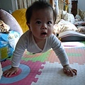 2009.05.14-瞧，我伏地挺身做得多標準啊~~