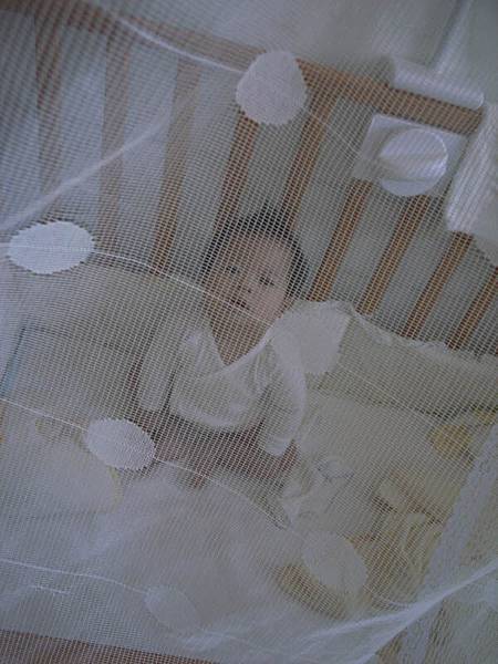 2009.05.15-爸比把我丟在小床上...隔著蚊帳是不是多了一層矇矓美...