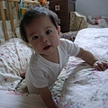 2009.05.18-以為我很閒嗎，每天爬來爬去我可忙的呢~