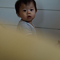 2009.09.04-媽咪說下邊黃黃的是特殊拍攝手法，我怎感覺不出來@@~