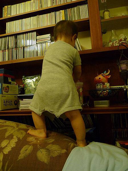 2009.09.09-還沒會走，就會往高處爬~瞧我爬高高YA~YA~