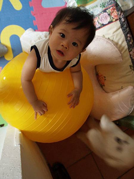 2009.09.14-這顆大球球老是擋住我的去路~~我要把它捏破!!