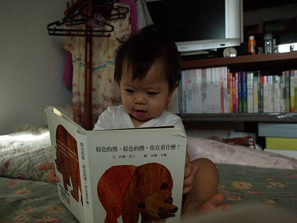 2009.09.18-這是市圖"閱讀起步走"送的書--《棕色的熊，棕色的熊，你在看什麼?》吼，書名有夠長的..