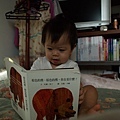 2009.09.18-這是市圖"閱讀起步走"送的書--《棕色的熊，棕色的熊，你在看什麼?》吼，書名有夠長的..