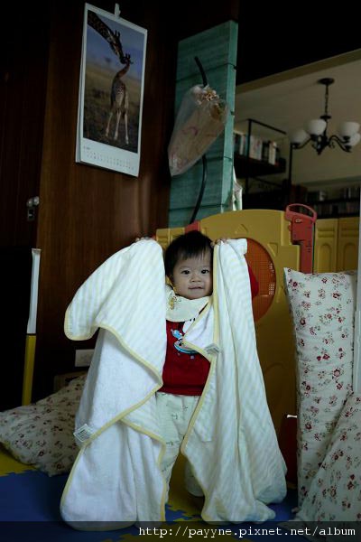 2009.12.06-這被被是我的最愛，我統稱它們叫～baby～