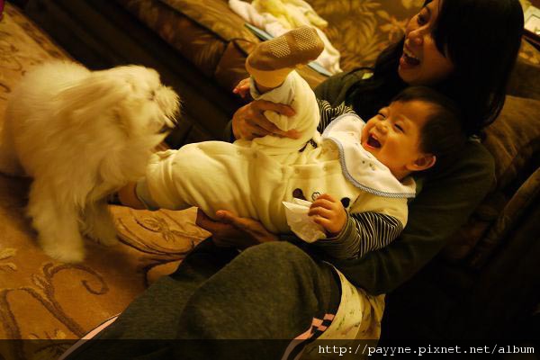 2009.12.19-每次都可以跟粽子玩到竭盡瘋狂~~
