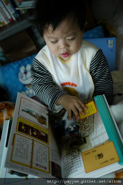 20091227-看到貓我還不會說「貓」，但我卻會叫「喵～」