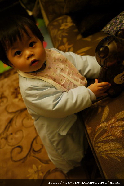 20091230-媽咪送我的熊熊撲滿，我只要有硬幣就會投進去裡頭..