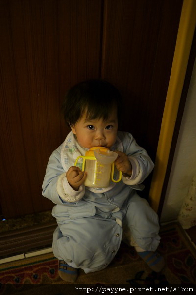 20100105-媽咪說要坐著喝牛奶，但卻沒有規定我說不可以坐在廁所前喝