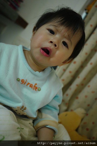 20100113-可是穿過襪襪的腳ㄚ子，味道可不怎麼好...><