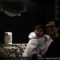 20100123-隔壁的另一家餐廳SUSHI，賣的是日本料理...拍起來像來到海生館